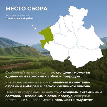 Напиток чайный Предгорья Белухи Иван-чай в пакетиках ферментированный с лимоном и имбирём 45 гр