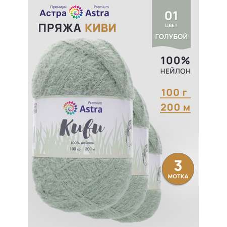 Пряжа для вязания Astra Premium киви фантазийная с выраженным ворсом киви нейлон 100 гр 200 м 01 голубой 3 мотка