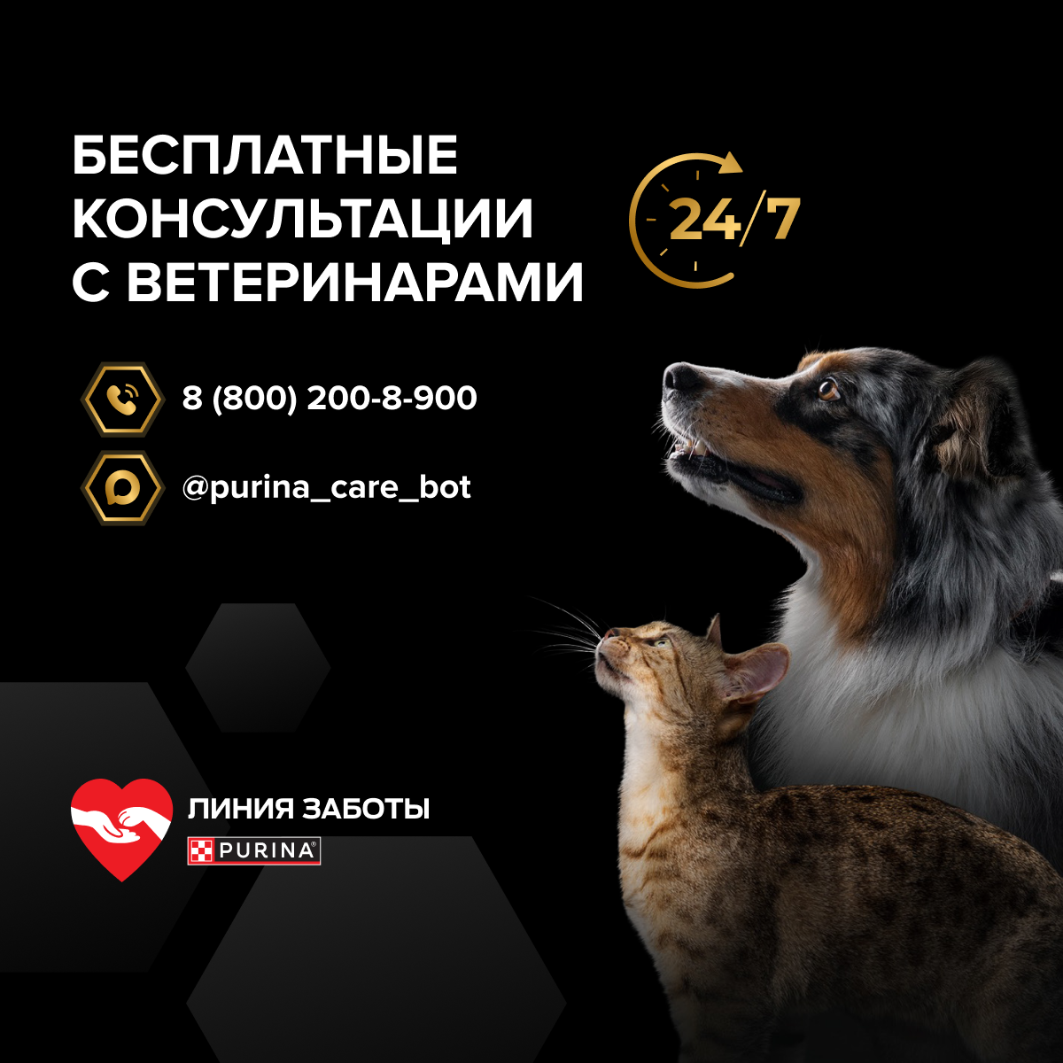 Корм для кошек сухой PRO PLAN Sterilised Adult Renal Plus для взрослых стерилизованных кошек с индейкой - фото 15