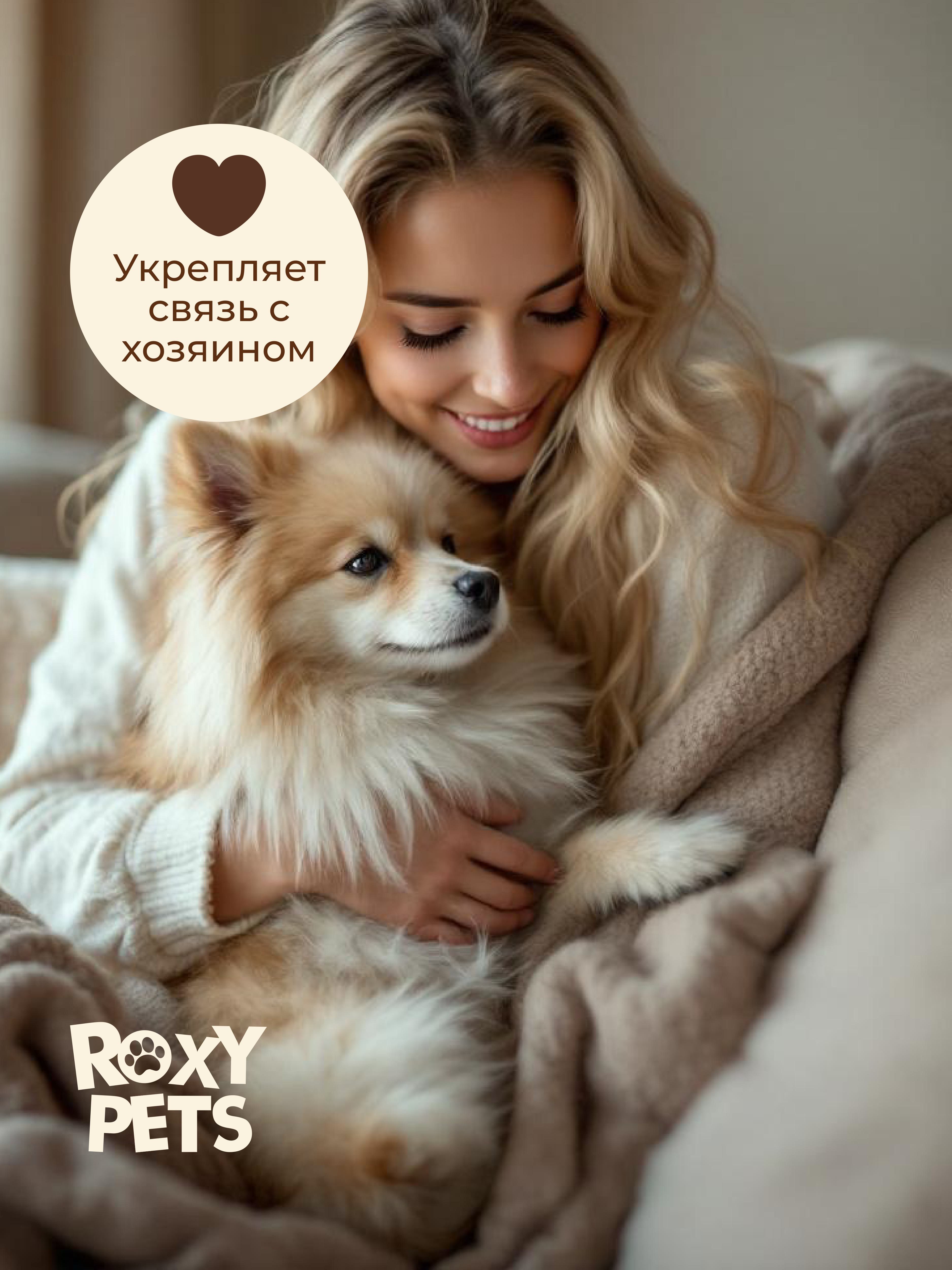 Лакомства для собак и щенков всех пород ROXY PETS из вяленого говяжьего мяса - фото 6