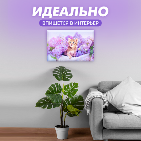 Алмазная мозаика Solmax Лавандовый котенок
