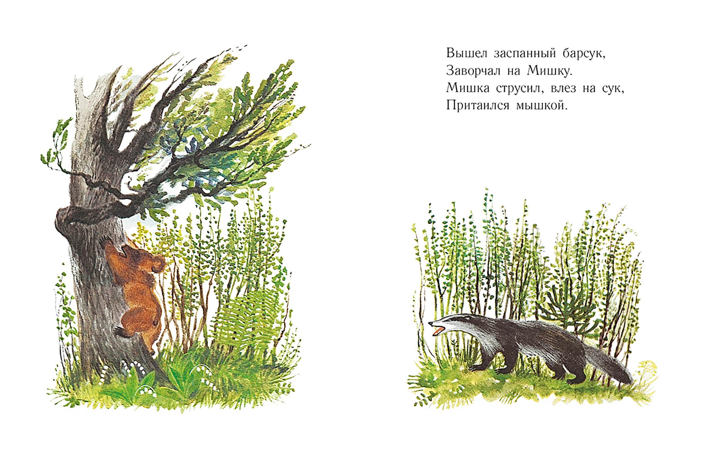 Книга Издательство Речь Мишка - фото 4