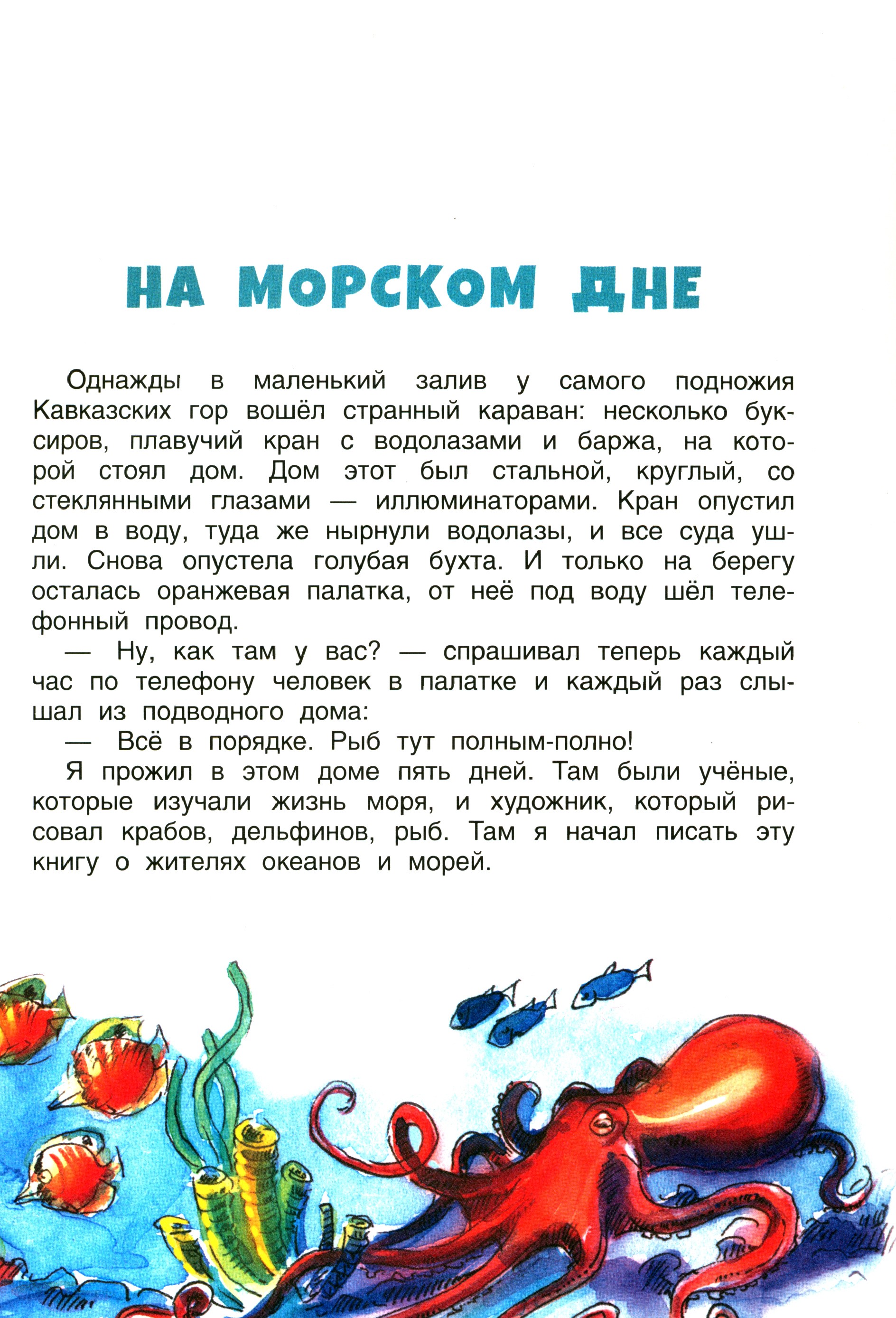 Книга Качели В мире дельфина и осьминога - фото 5