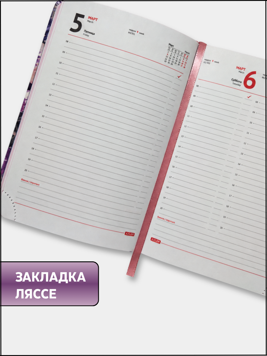 Ежедневник AXLER датированный 2027 А6 168 лист. - фото 4
