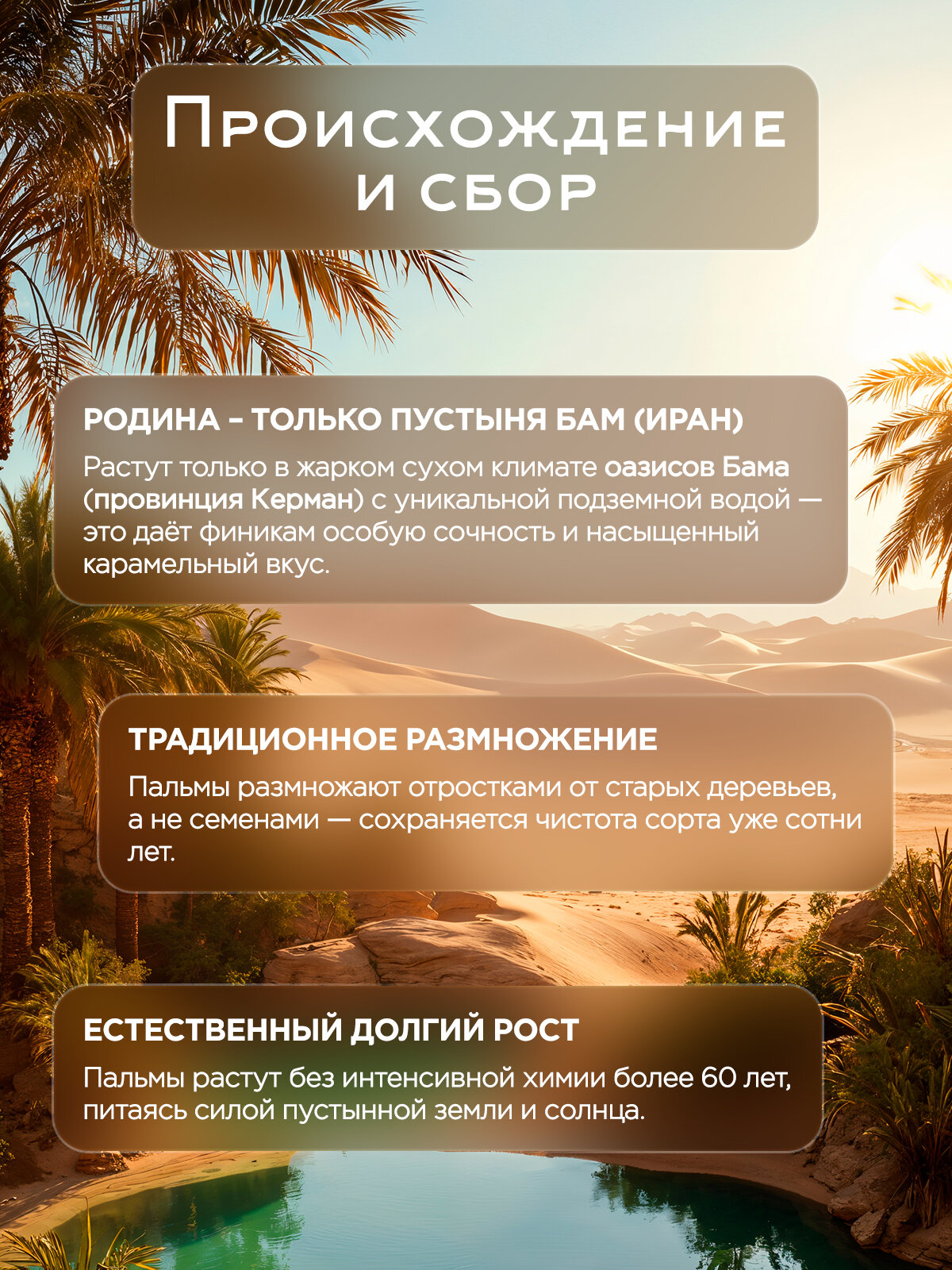 Финики Narmak Мазафати без сахара натуральные 500 гр - фото 3