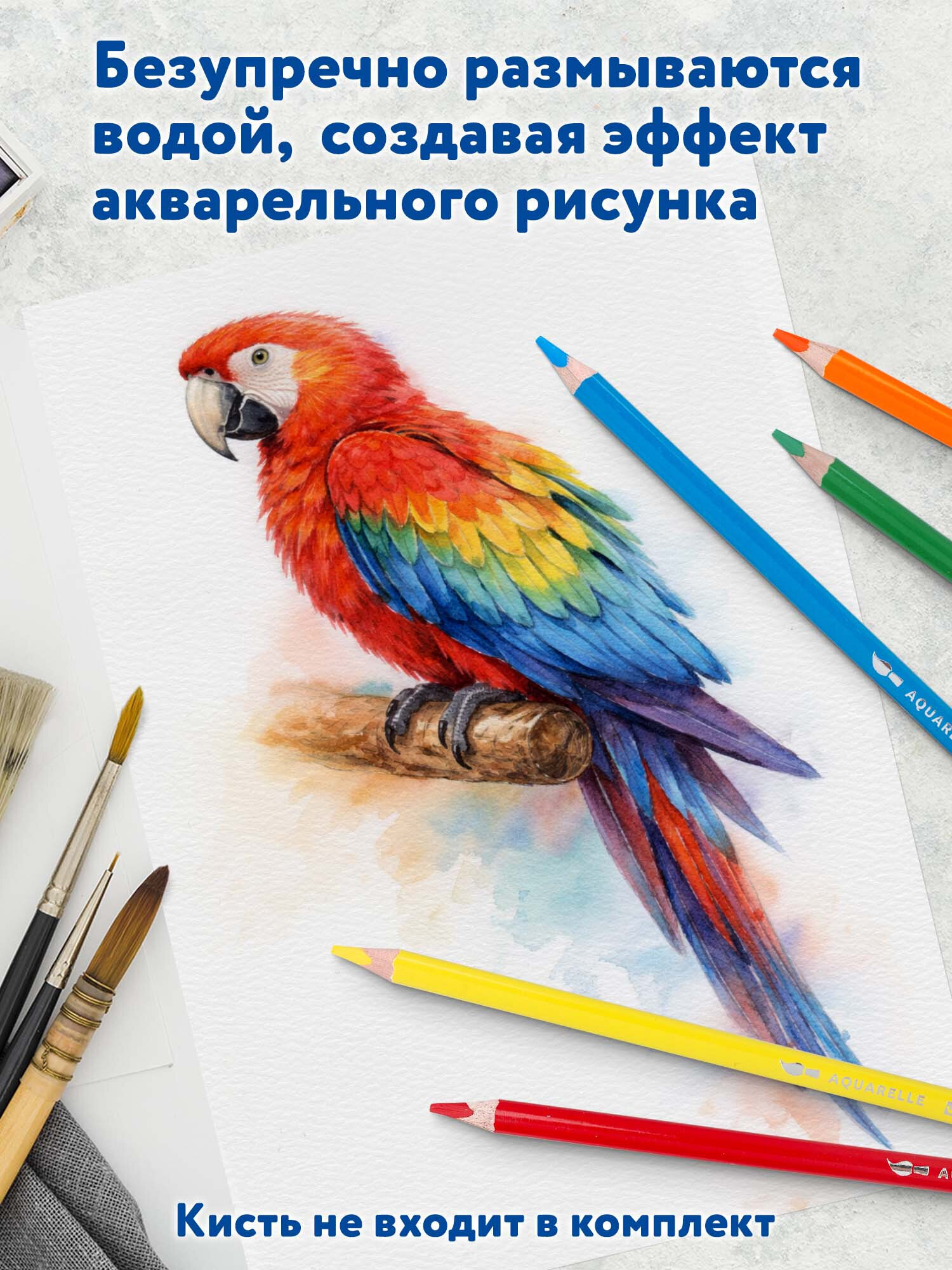 Карандаши акварельные Brauberg 12 шт. - фото 4