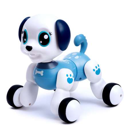 Собака РУ IQ BOT