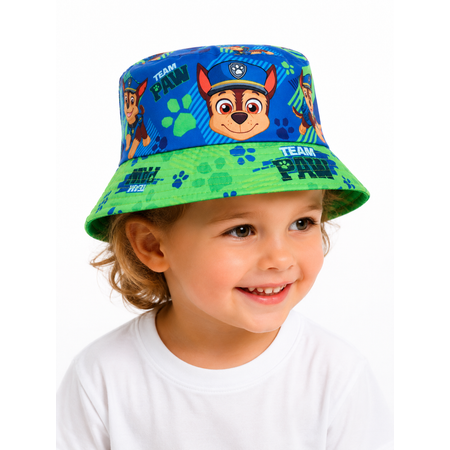 Панама Paw Patrol