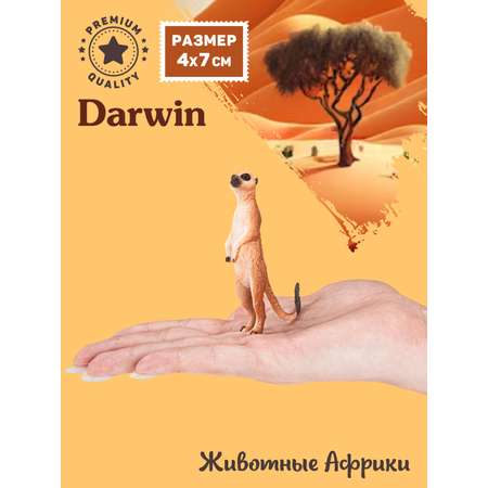 Фигурка DARWIN Животные Сурикат