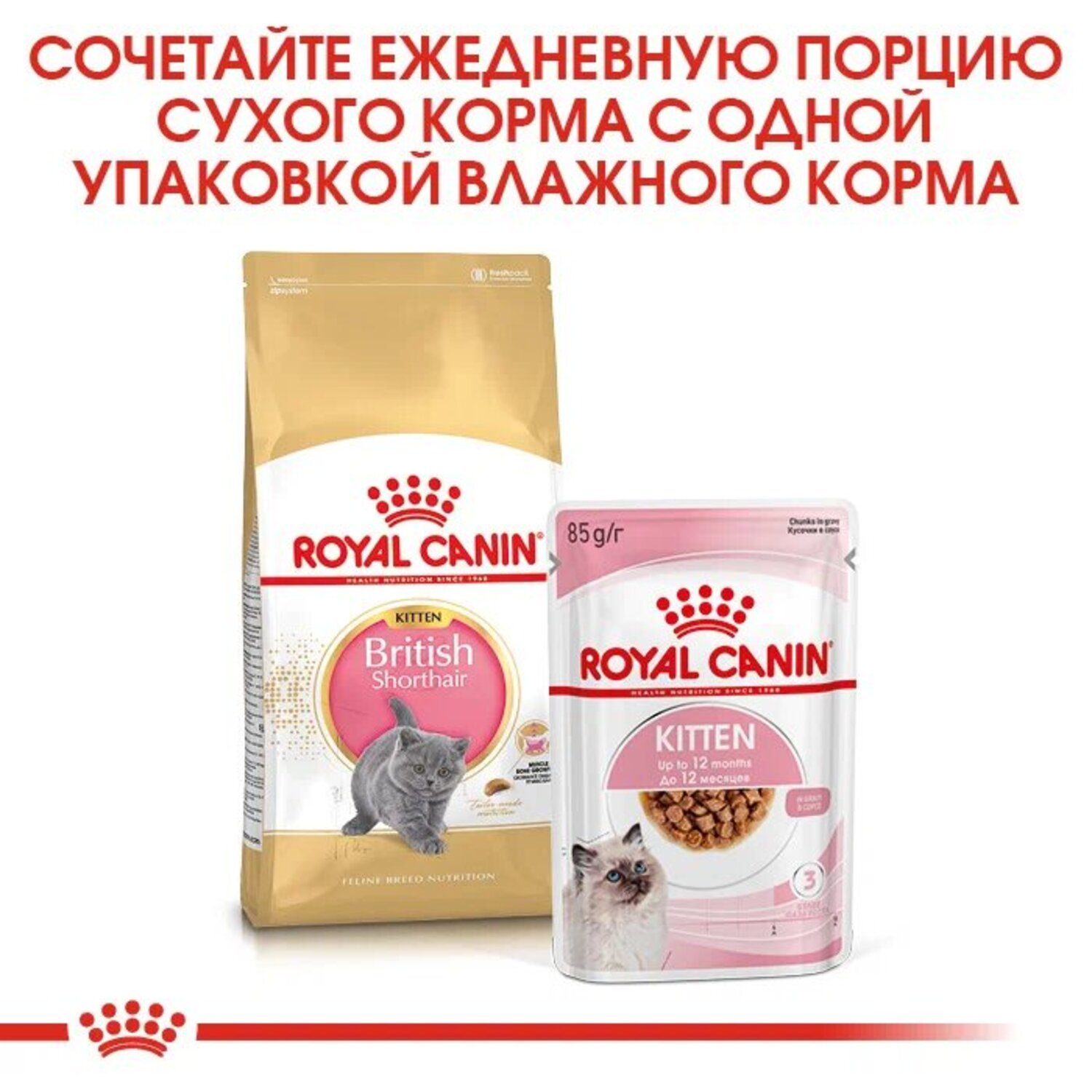 Корм сухой для котят ROYAL CANIN British Shorthair 10кг породы британской короткошерстной - фото 5