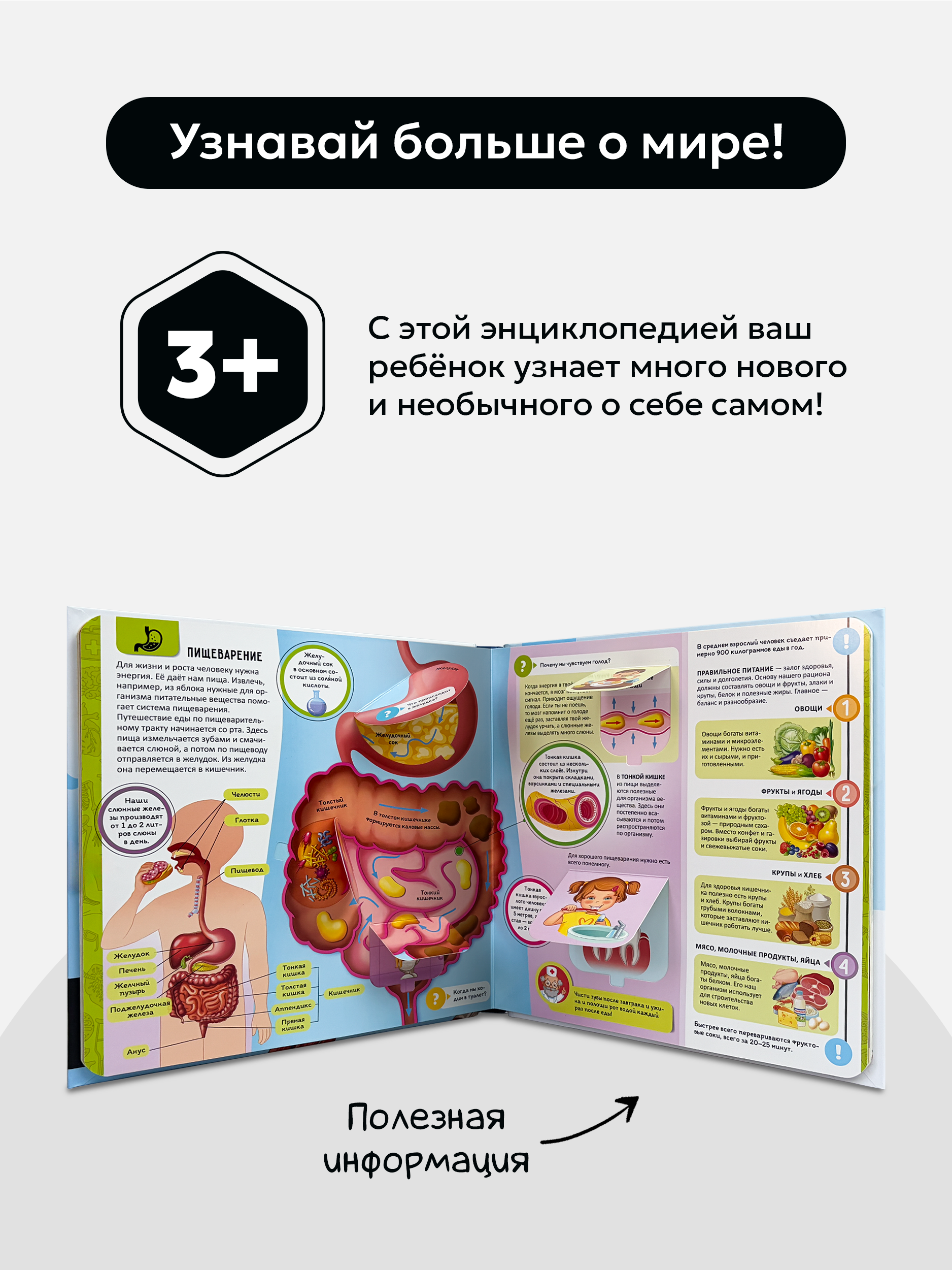Книга Анатомия Как устроен человек? Malamalama Интерактивная Энциклопедия для детей с объемными картинками 3Д - фото 7