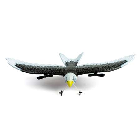 Самолет РУ Fei Xiong