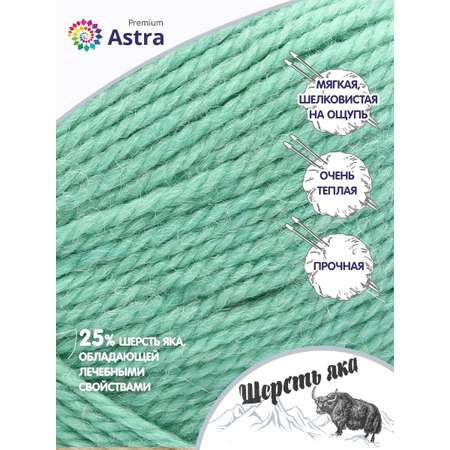 Пряжа Astra Premium Шерсть яка Yak wool теплая мягкая 100 г 120 м 02 мятный 2 мотка