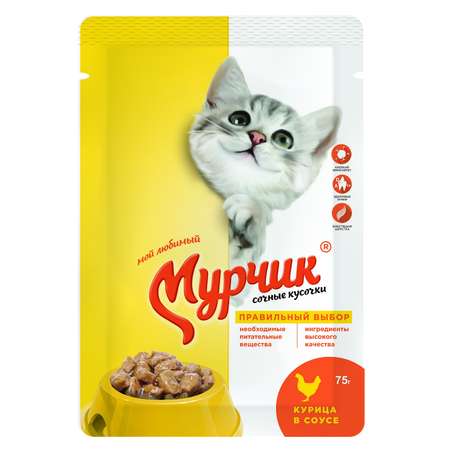 Корм для кошек Мурчик курица 75г