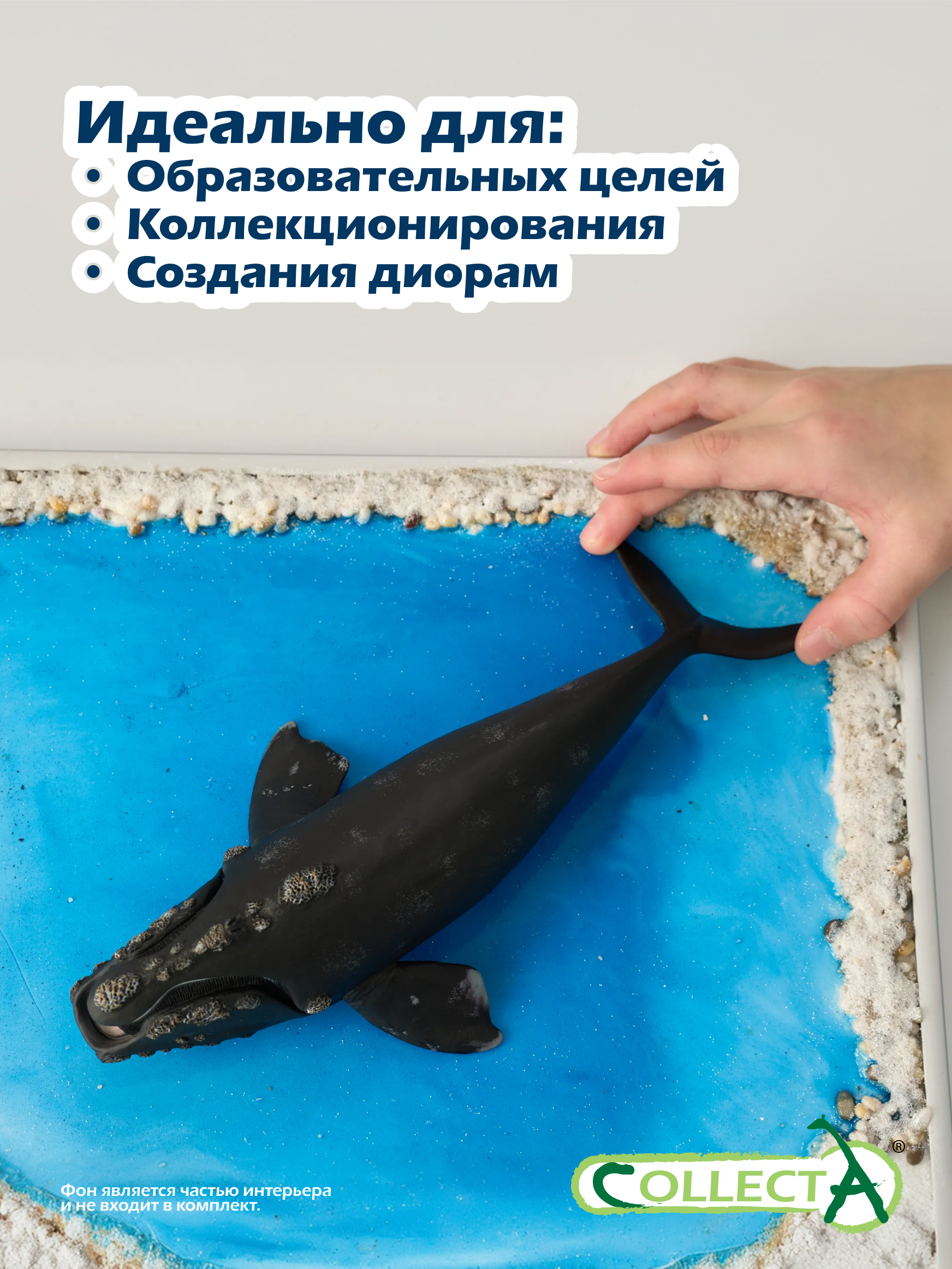 Фигурка Collecta Южный кит - фото 6