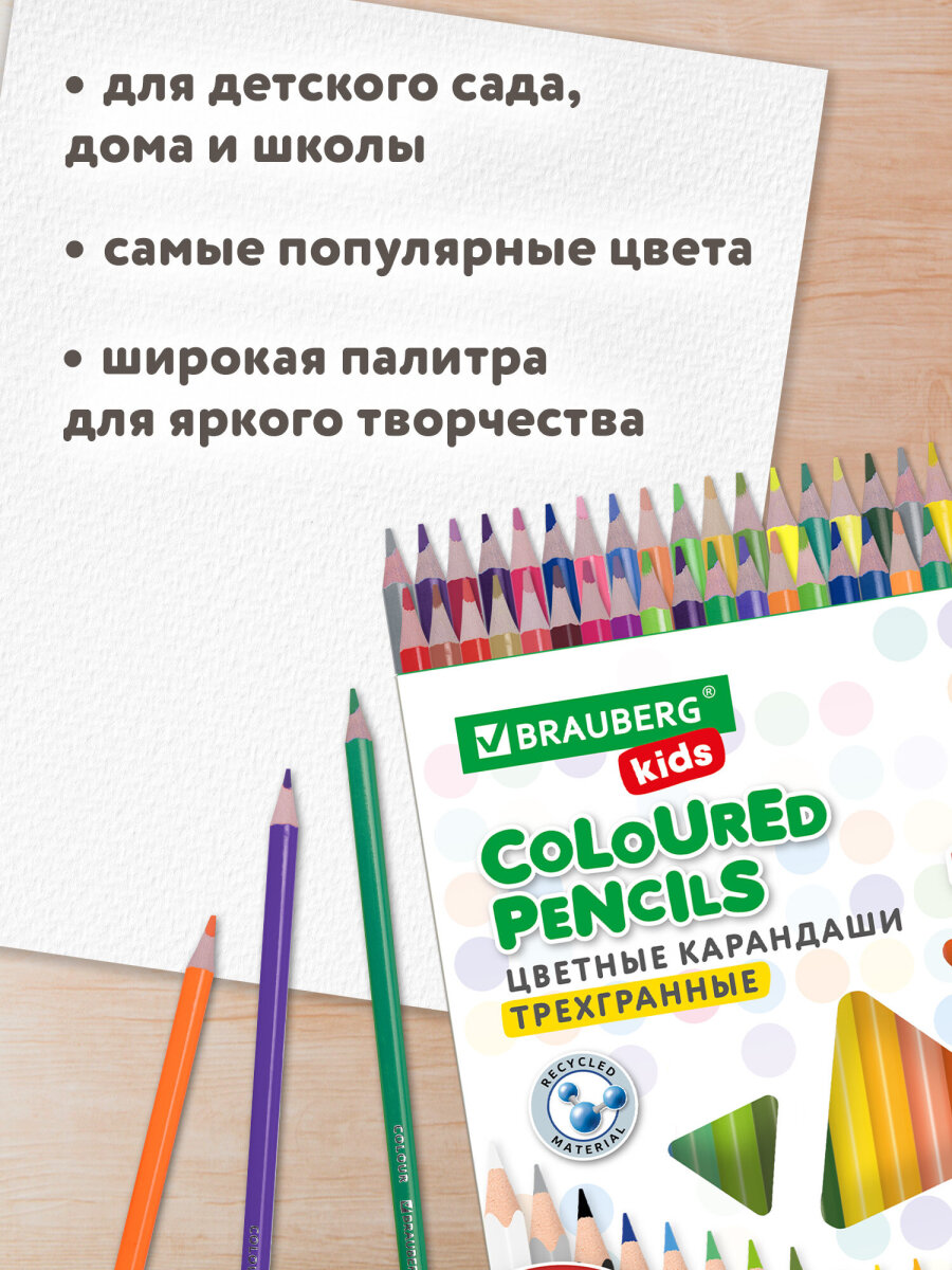 Карандаши цветные Brauberg 50 шт. - фото 7