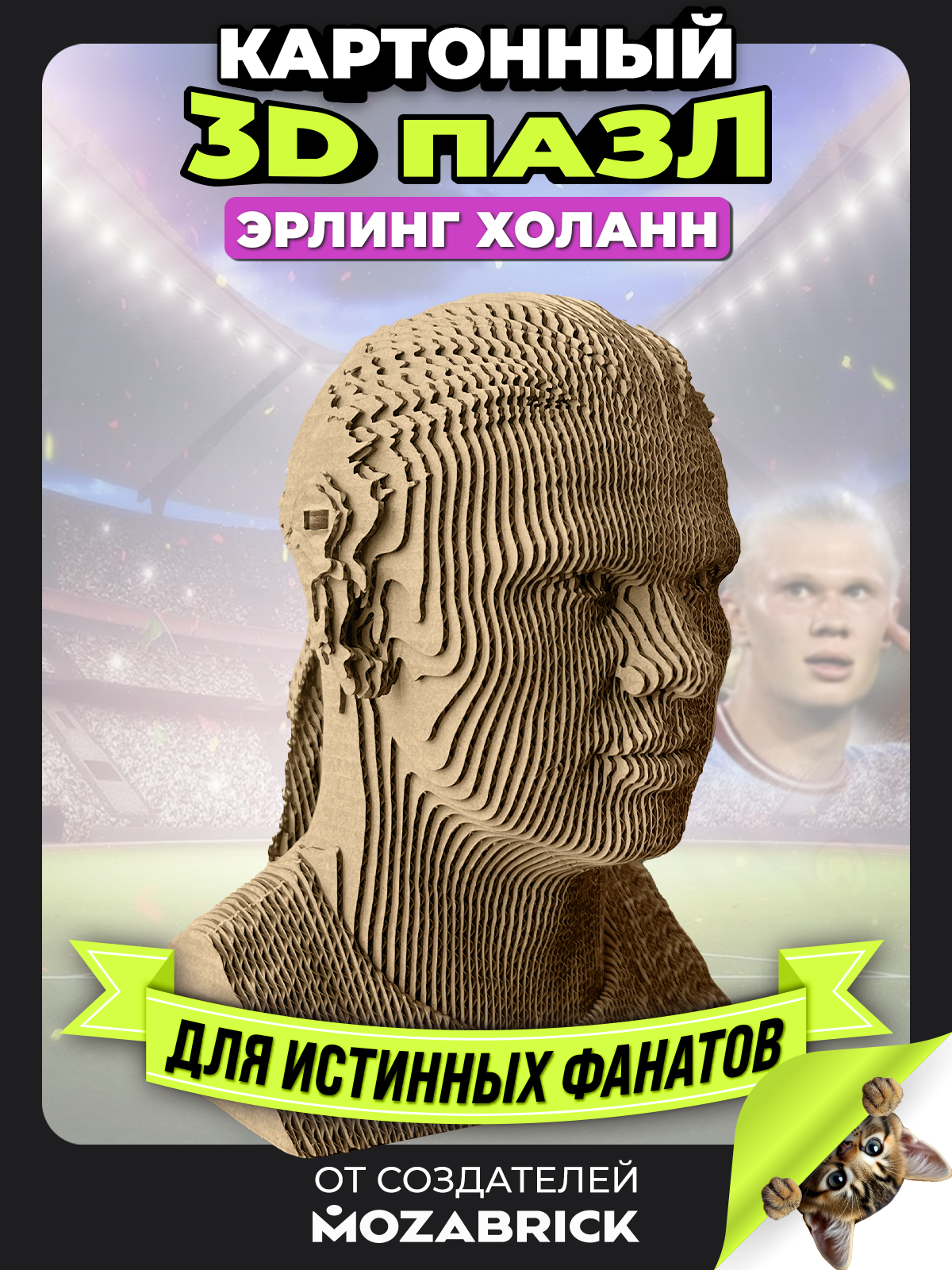 Изображение товара Пазл QBRIX Эрлинг Холанн 3D для взрослых и детей