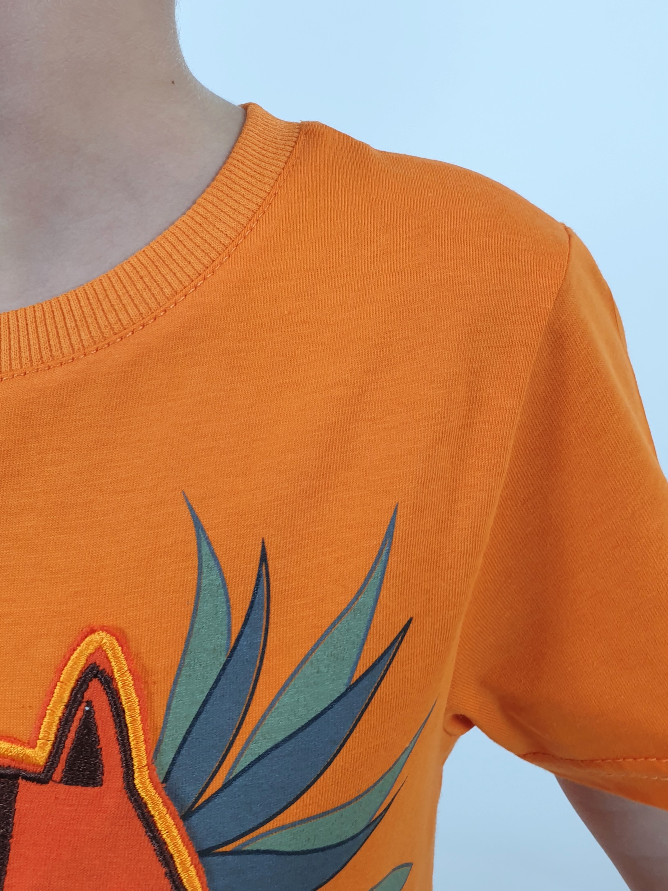 Футболка и шорты Luneva 01-121-4. - фото 9