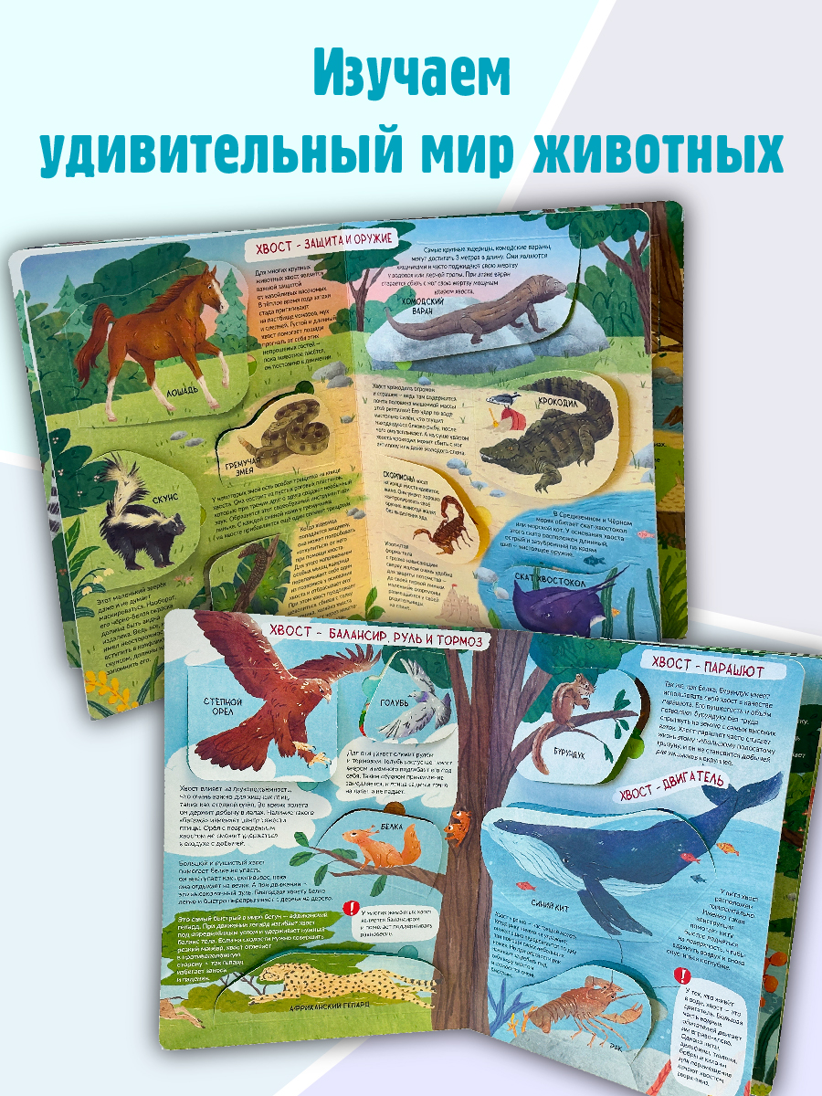 Энциклопедия с окошками БимБиМон Книга детская энциклопедия с окошками Виммельбух - фото 2