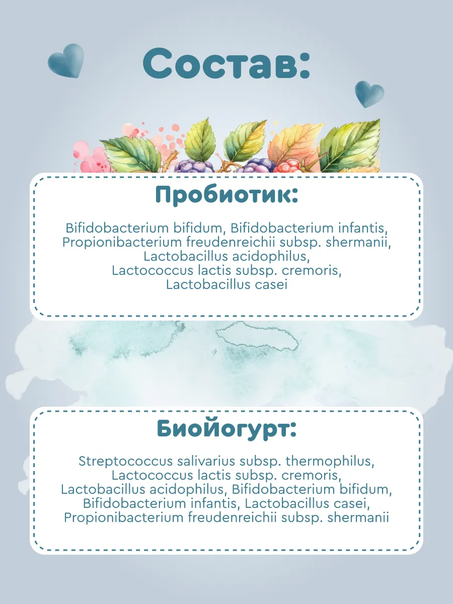 Набор заквасок Полезная Партия лечебный - фото 4