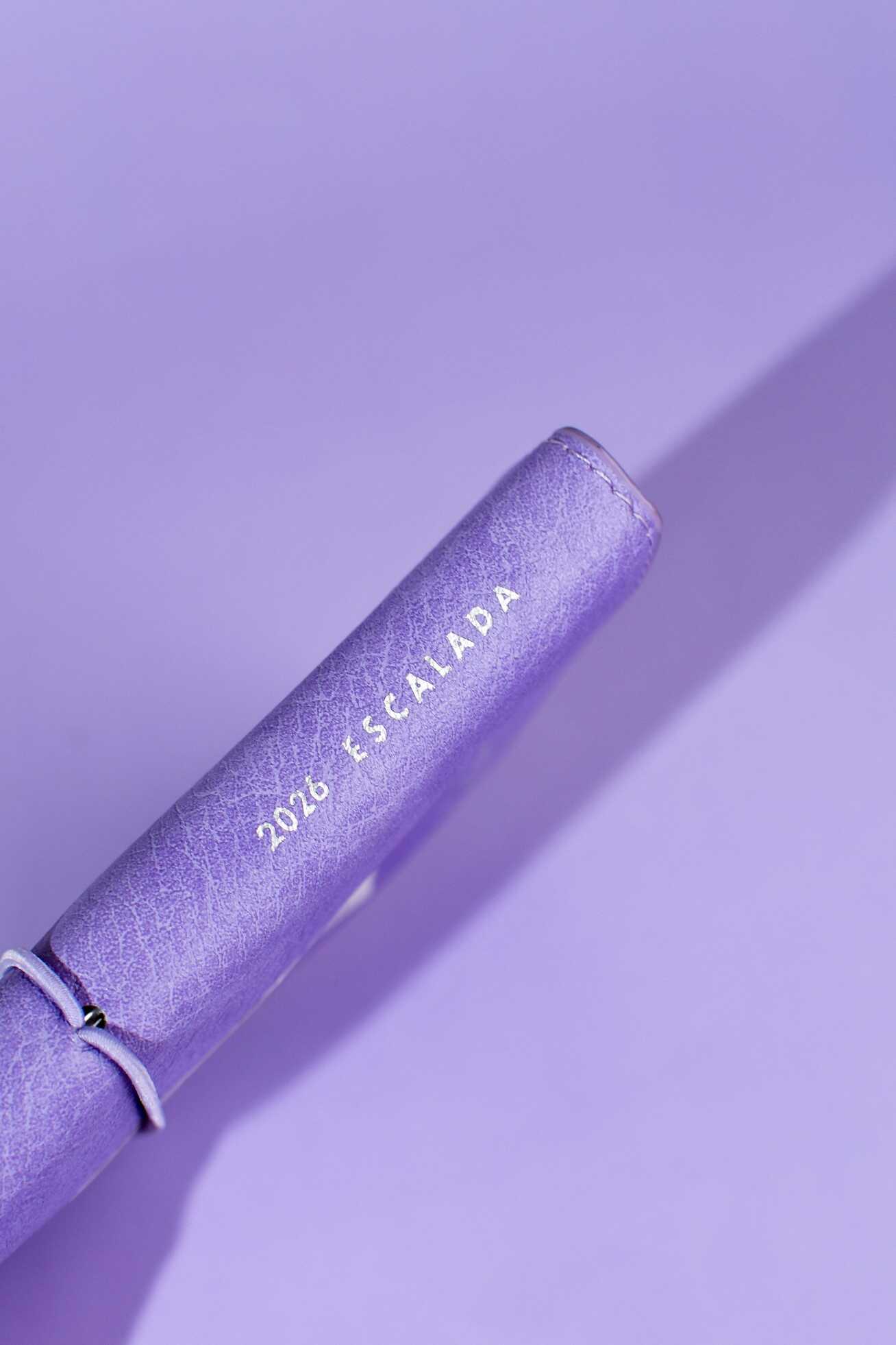 Ежедневник Феникс + ESCALADA 128 лист. - фото 6