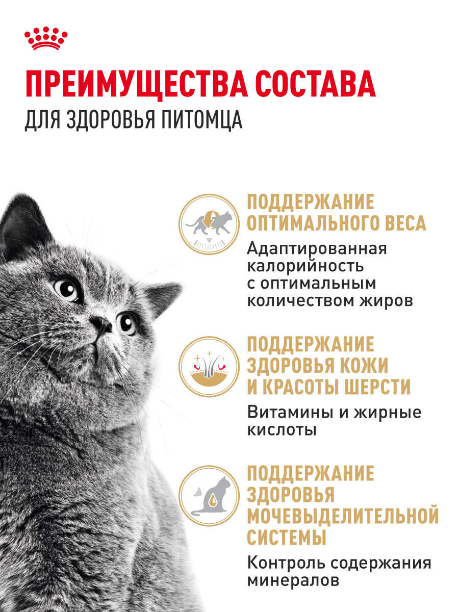 Корм для кошек ROYAL CANIN Брит соус 85г - фото 3