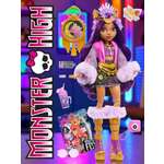 Кукла модельная Monster High Monster Fest HXH80 высота 27 см