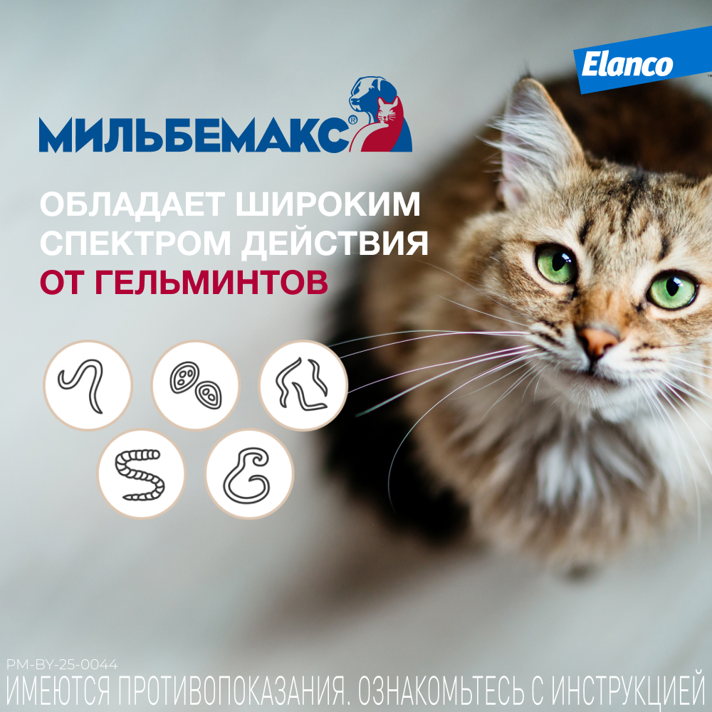 Антигельминтик для кошек Elanco Мильбемакс крупных пород 2таблетки - фото 4