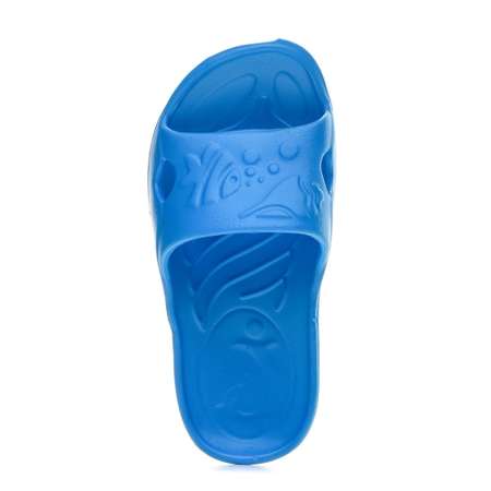 Сланцы Janett