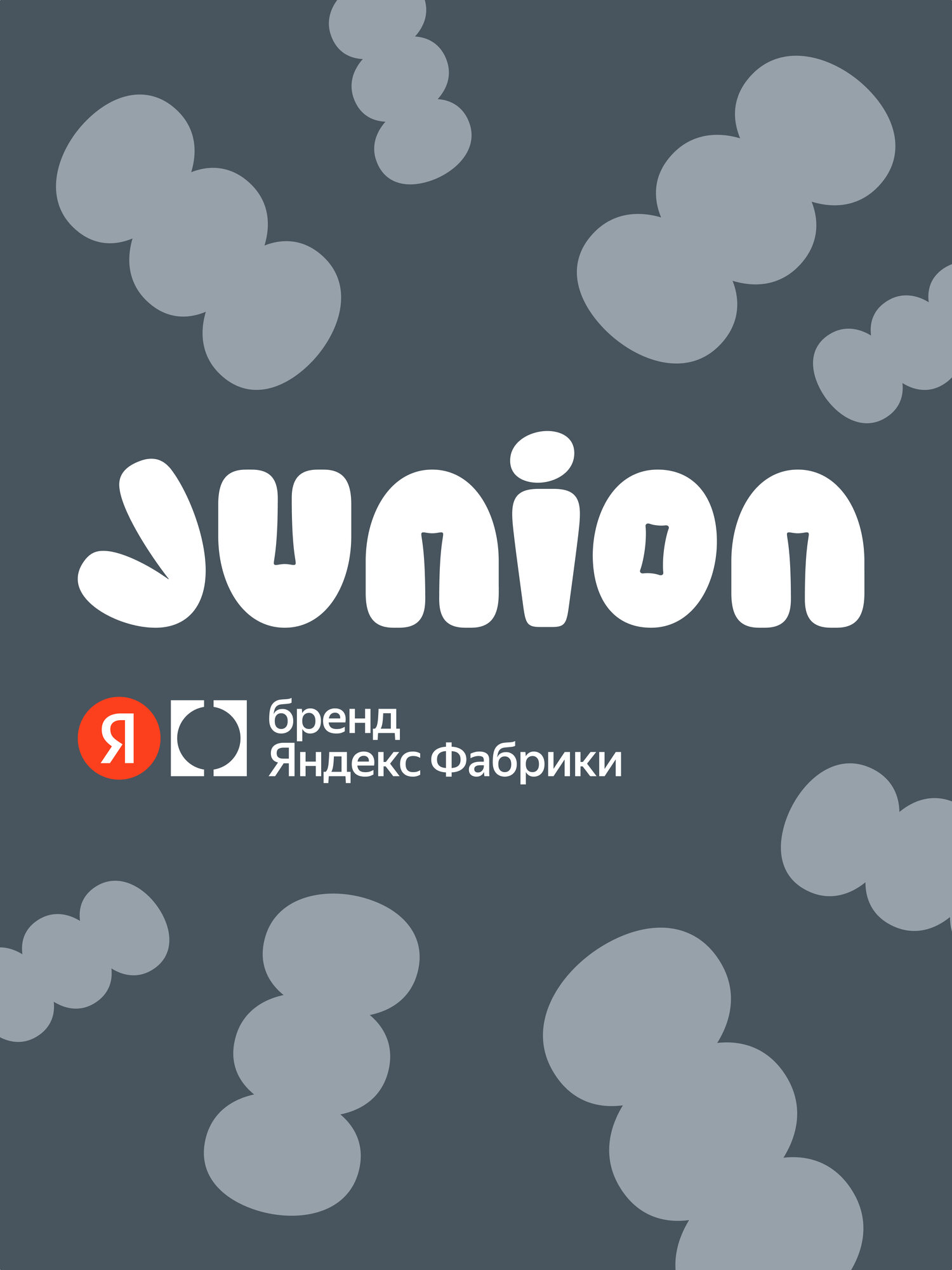 Городской самокат Junion двухколесный - фото 16