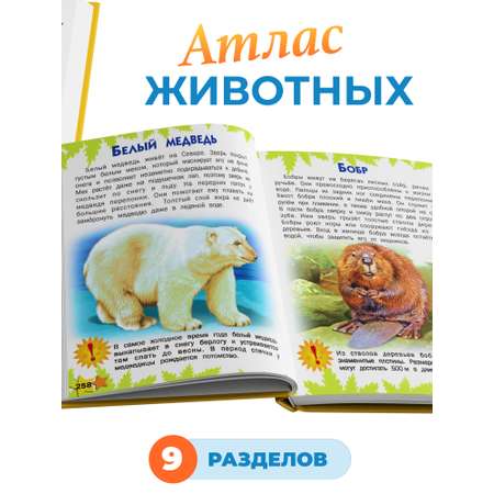 Книга Русич Развивающая книга малыша Энциклопедия для детей дошкольников Большая книга знаний
