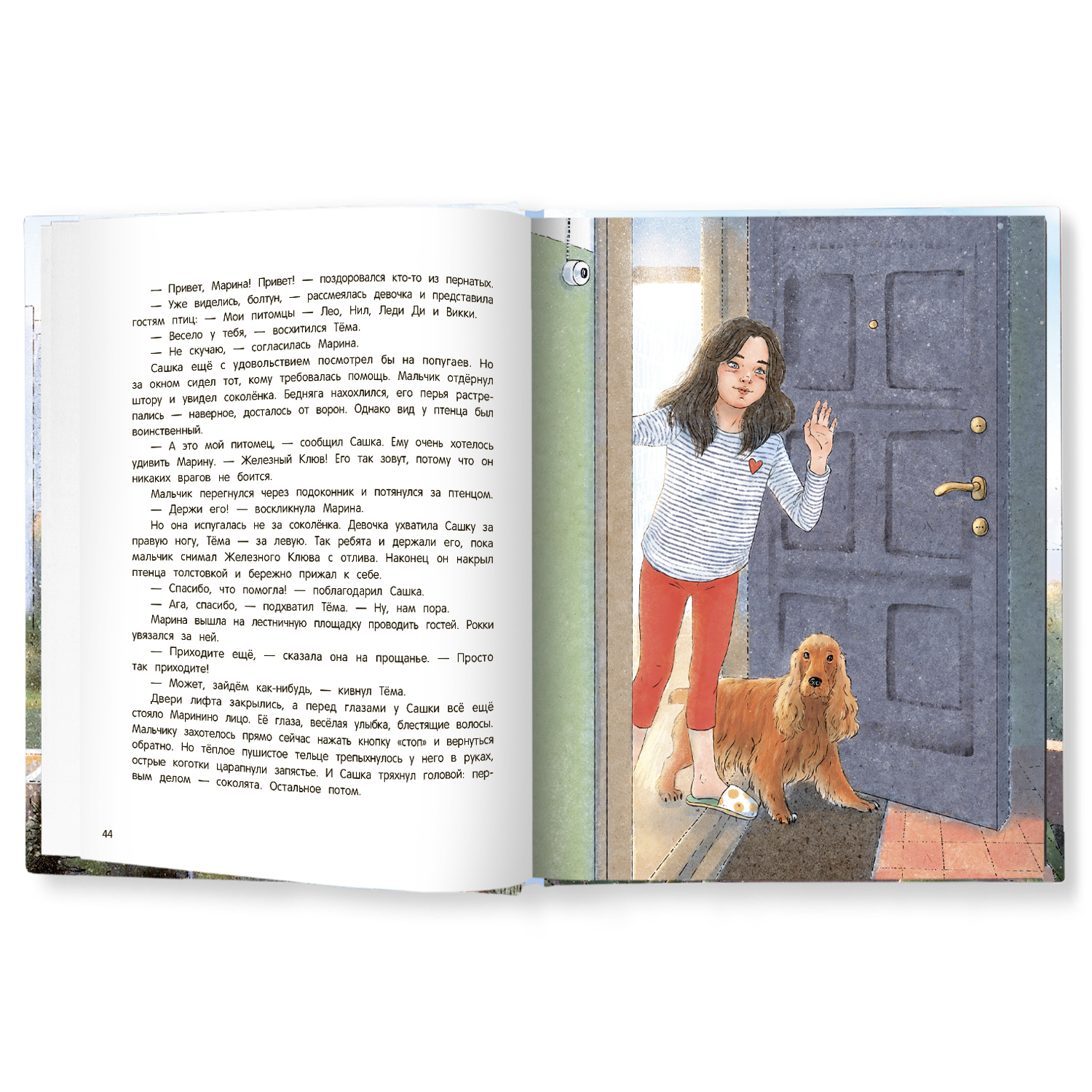 Книга Феникс Премьер Мои соседи соколы. Добрая сказка - фото 2