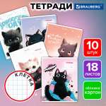 Общая тетрадь Brauberg клетка 18 лист. 10 шт.