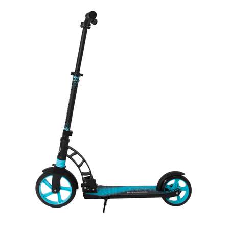 Самокат Maxiscoo двухколесный
