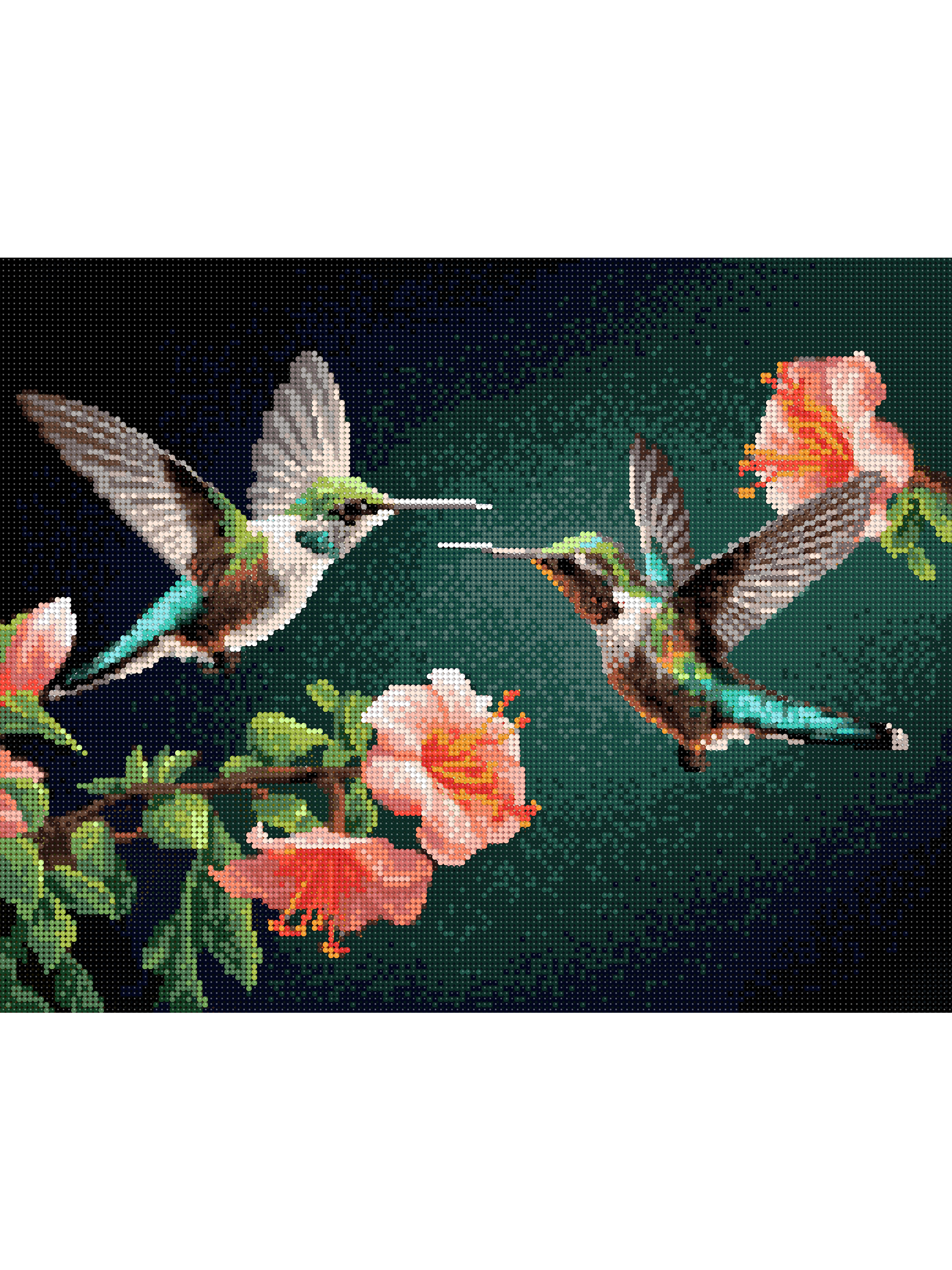 Алмазная мозаика Art sensation Колибри в ассортименте - фото 2