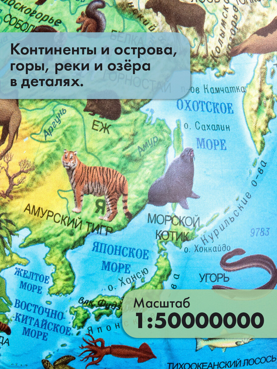 Глобус Globen зоогеографический с подсветкой диаметр 25 см - фото 5