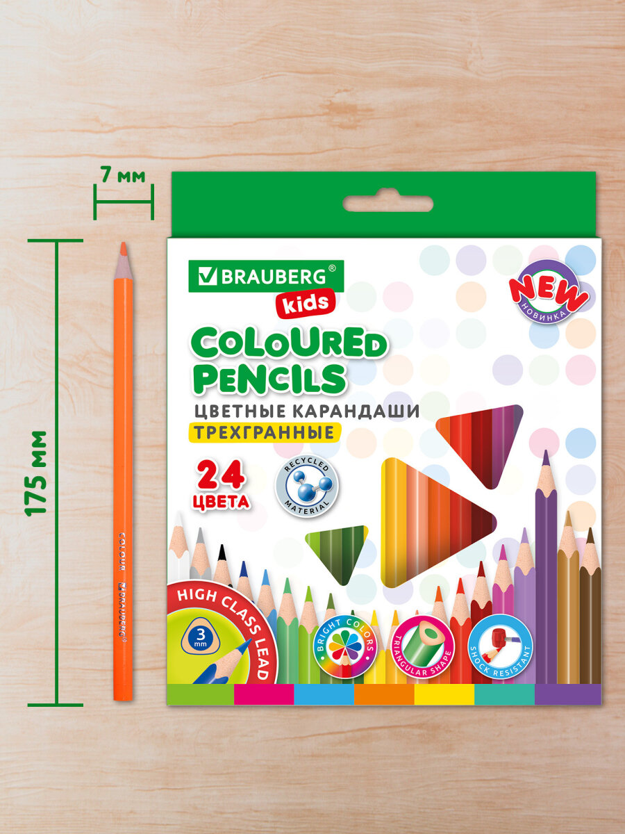Карандаши цветные Brauberg 24 шт. - фото 7