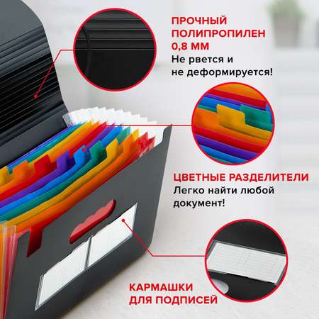 Папка-органайзер Brauberg для рисунков чертежей бумаг и документов