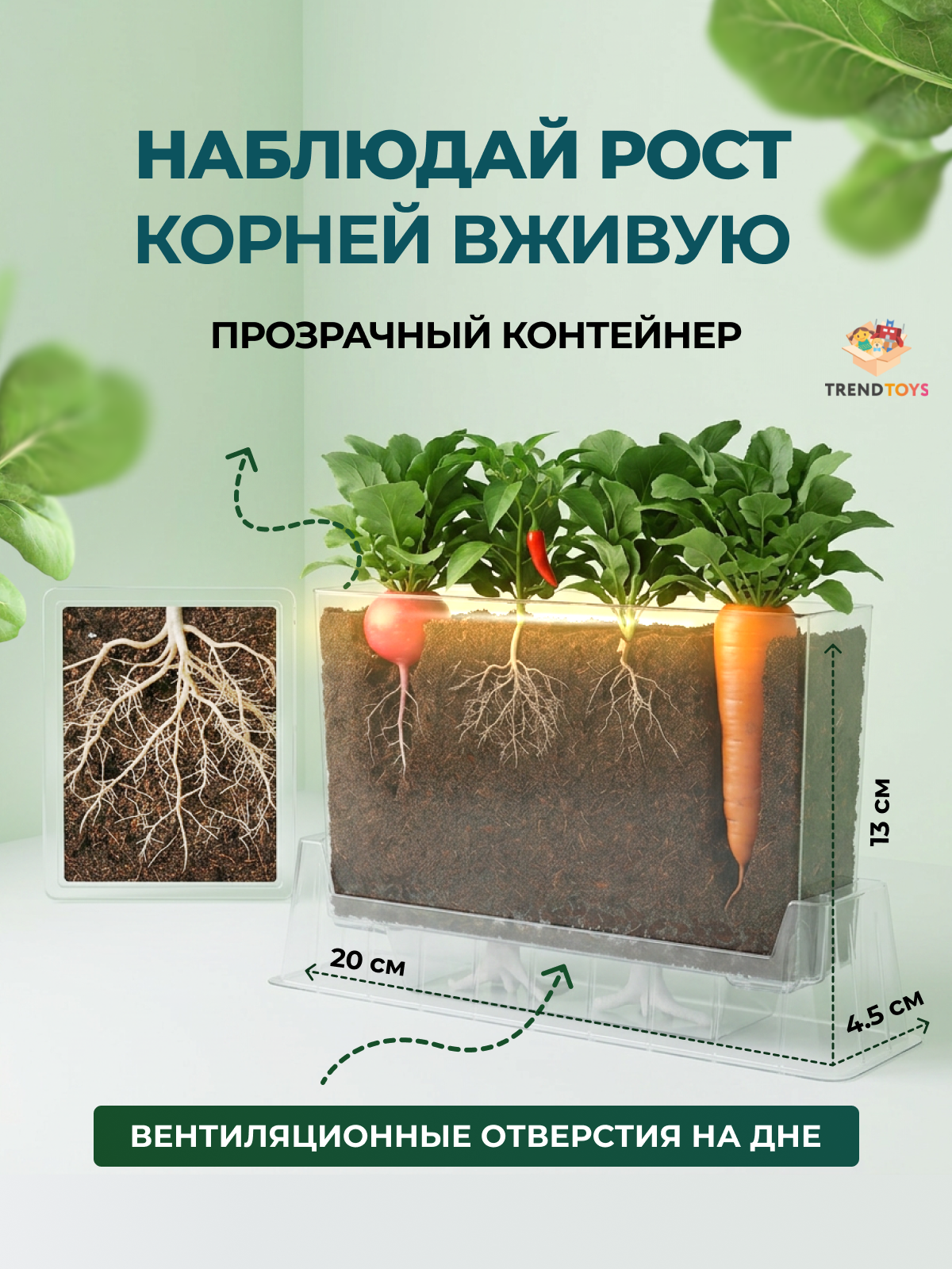 Игрушка TrendToys Набор юного садовода - фото 8