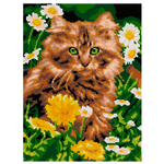 Алмазная мозаика LORI(колорит) Котик