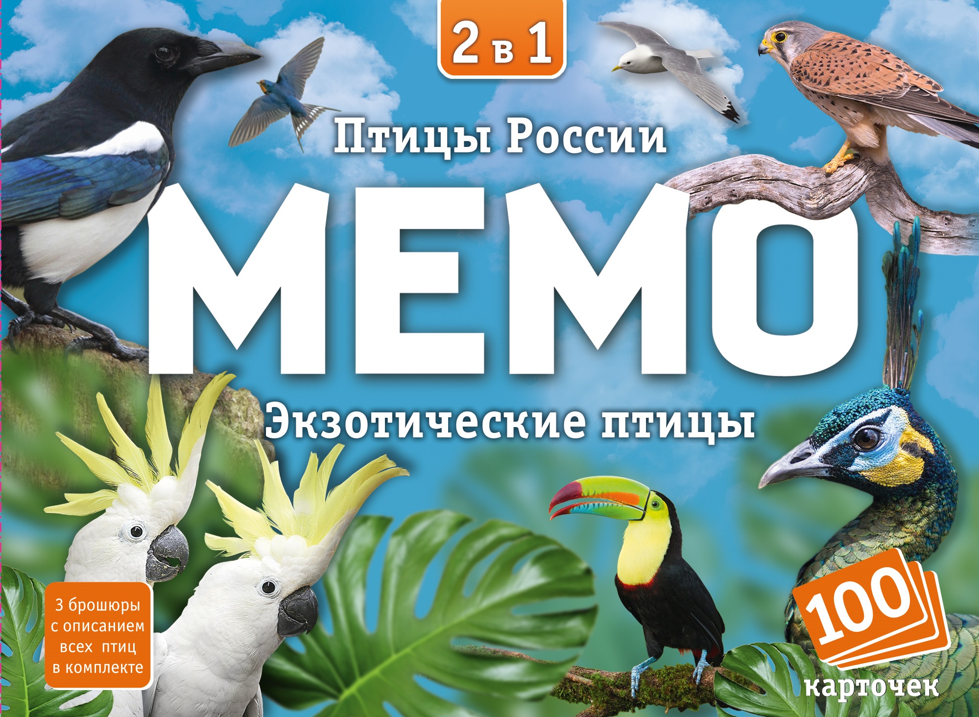 Настольная игра Нескучные игры Птицы - фото 1