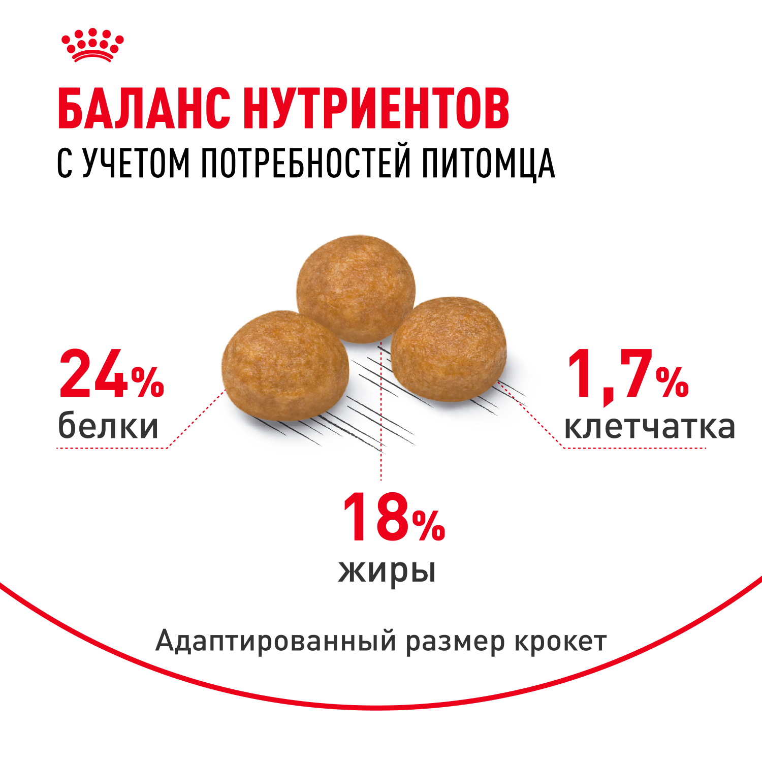 Корм для собак ROYAL CANIN миниатюрных пород 1.5кг - фото 4
