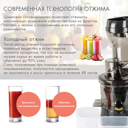 Шнековая соковыжималка VLK Profi-3500