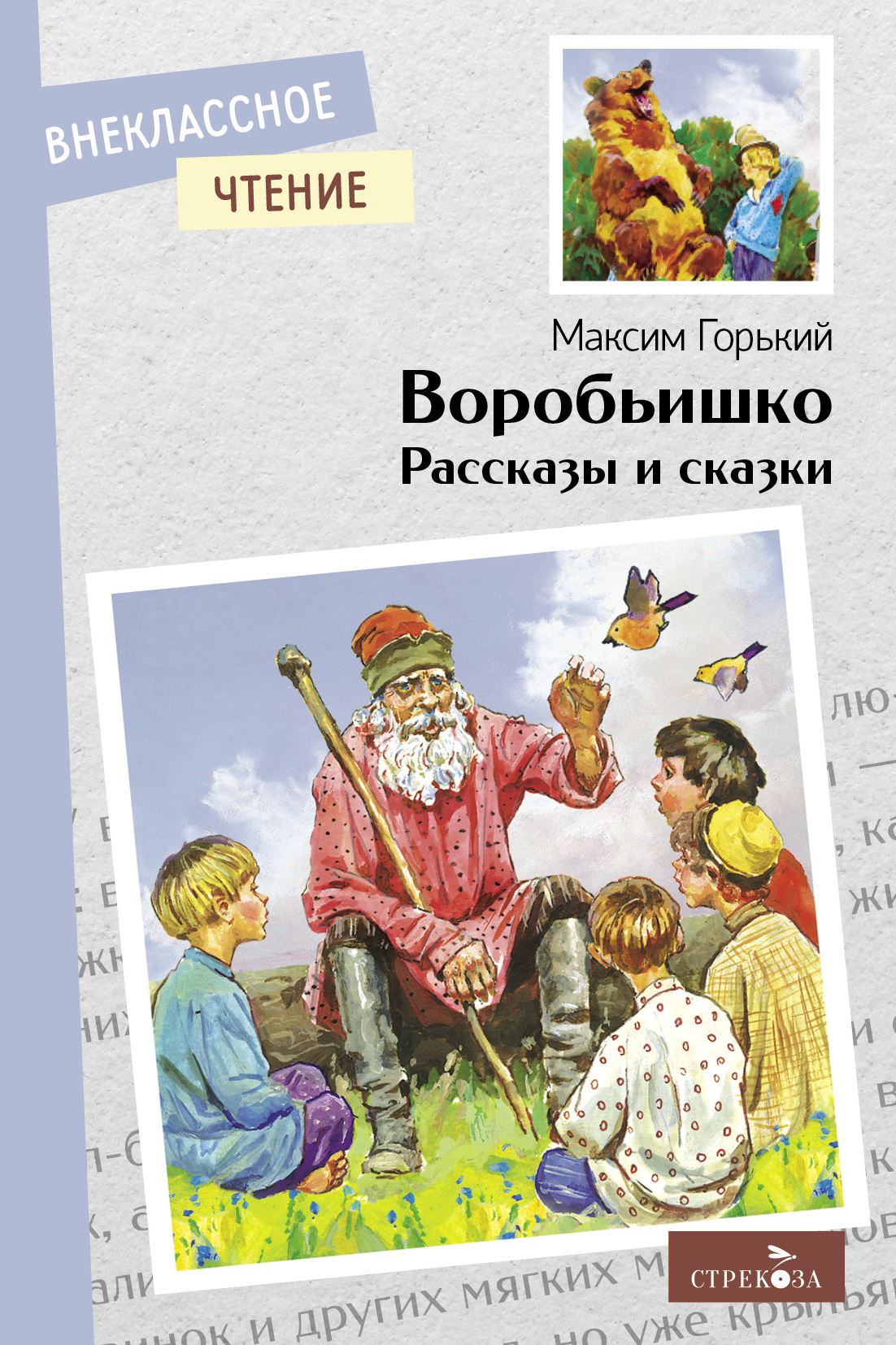 Книга СТРЕКОЗА Внеклассное чтение - фото 1