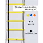 Активная игра FN Sport Ladders Yellow 6m