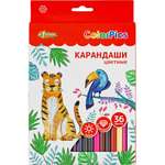 Карандаши цветные №1 School 36 шт.