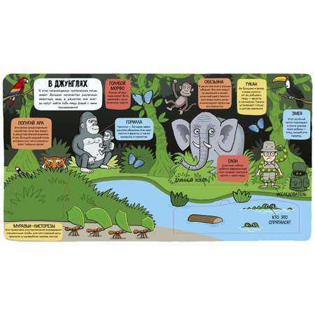 Книга Clever Маленькие исследователи. Мир животных