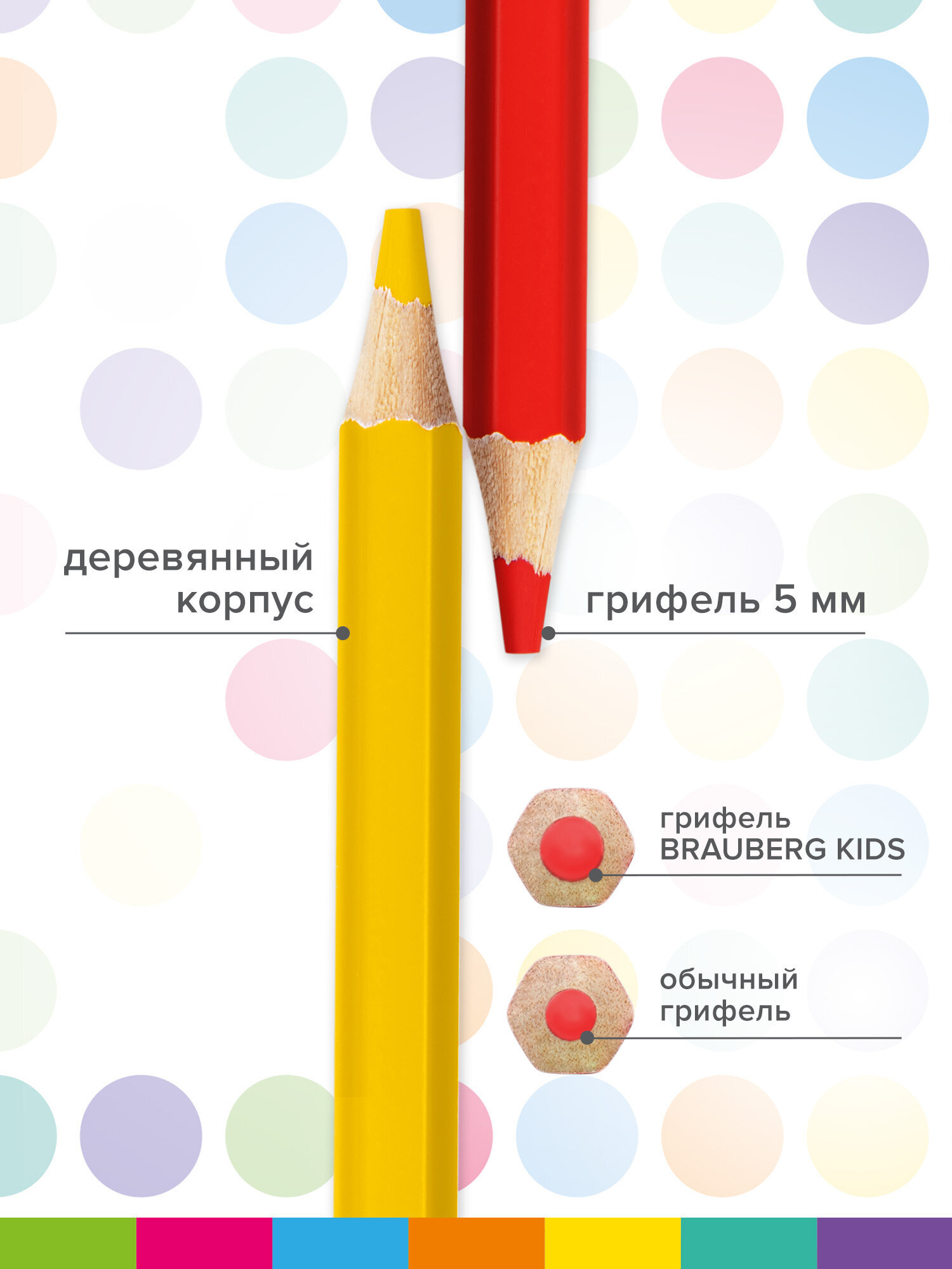 Карандаши цветные Brauberg 24 шт. - фото 5