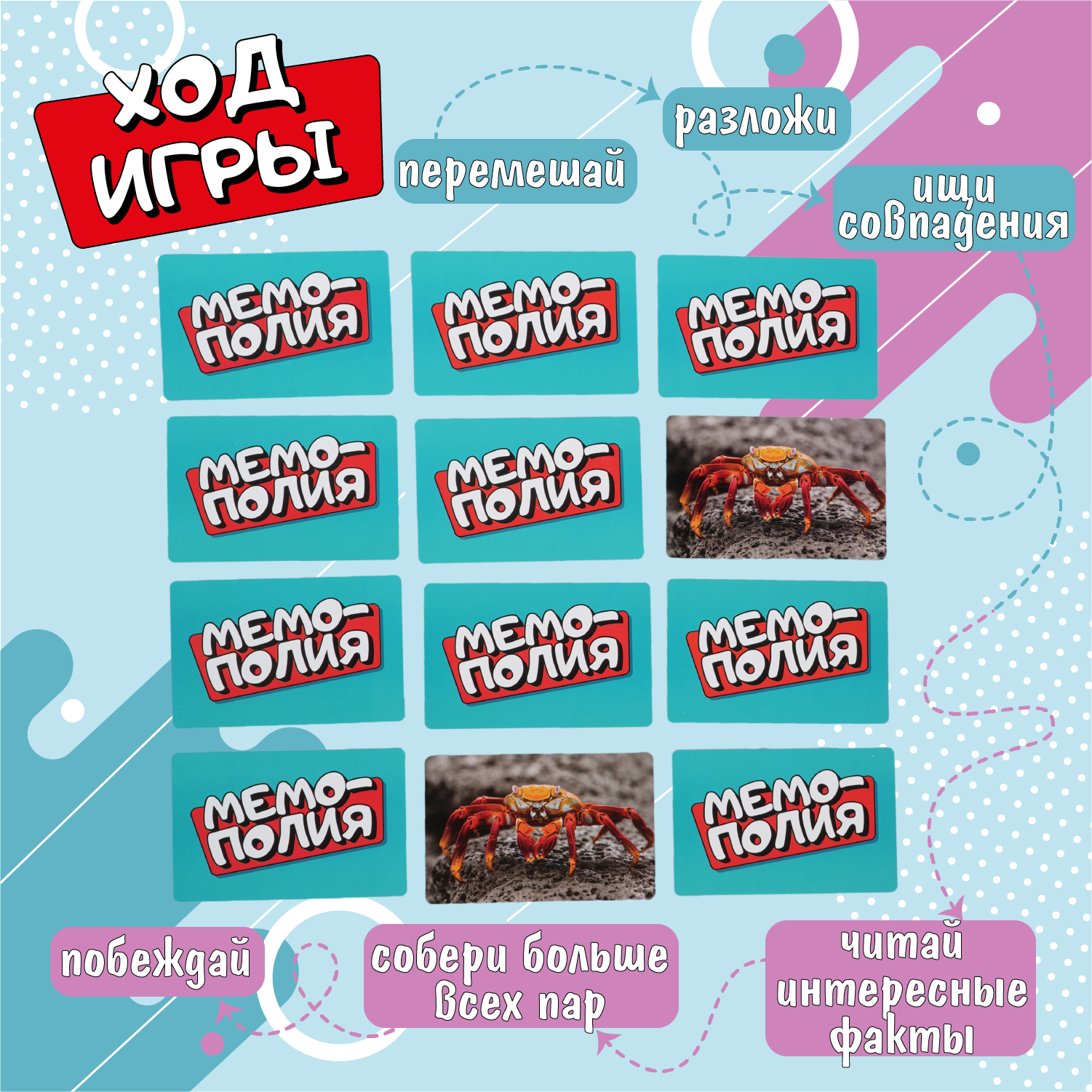 Настольная игра Attivio Мемополия Морские обитатели - фото 4