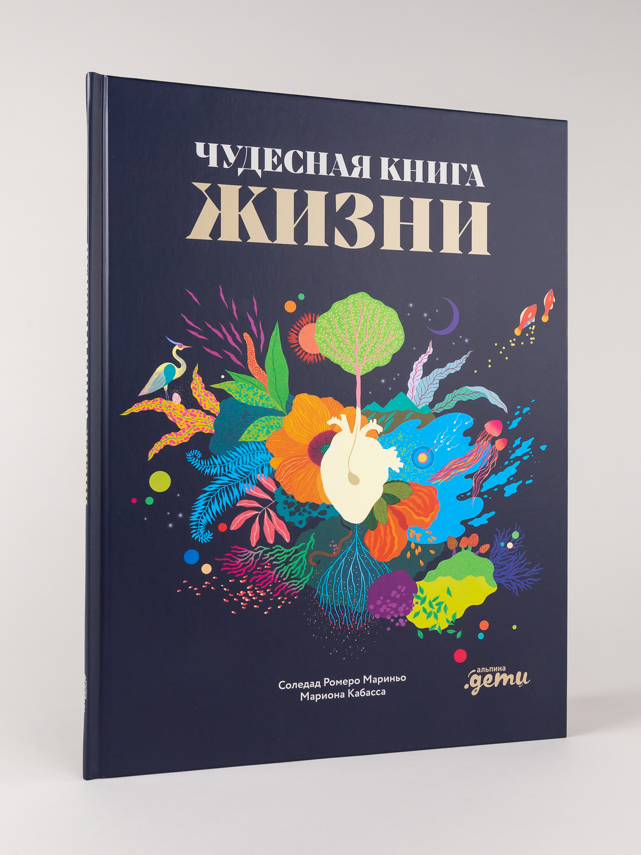 Книга Альпина. Дети Чудесная жизни - фото 1